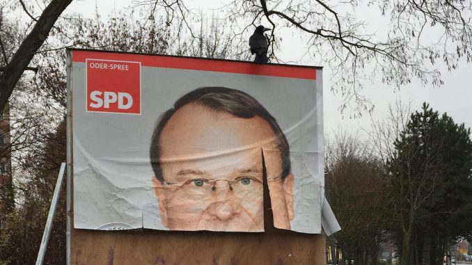 Wahl zum Landrat Oder-Spree