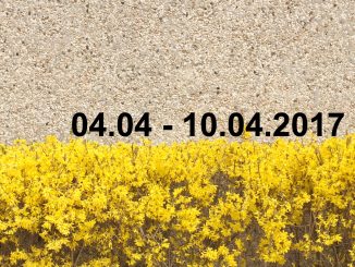 Veranstaltungskalender