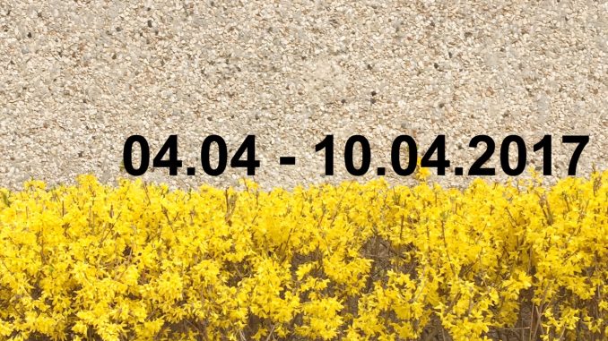 Veranstaltungskalender