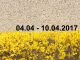 Veranstaltungskalender