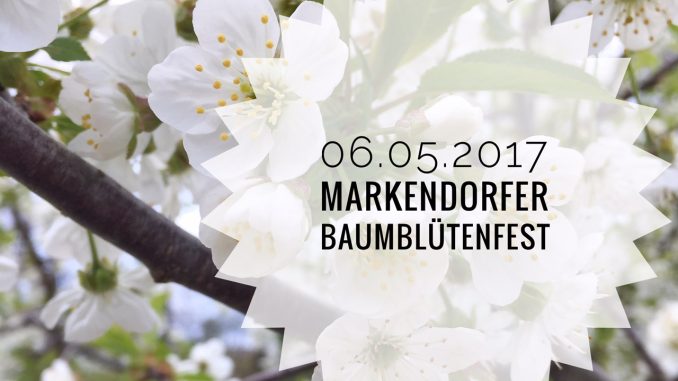 Baumblütenfest in Markendorf