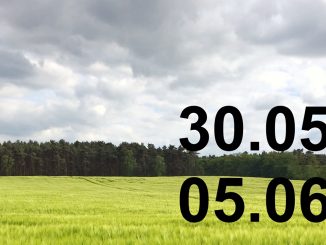 Veranstaltungskalender
