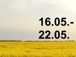 Veranstaltungskalender