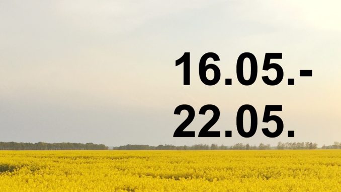 Veranstaltungskalender