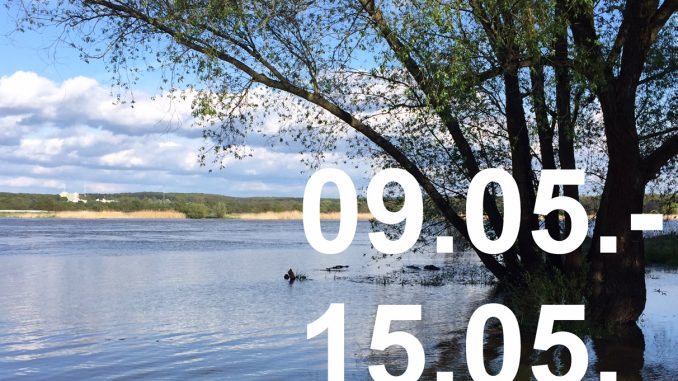 Veranstaltungskalender