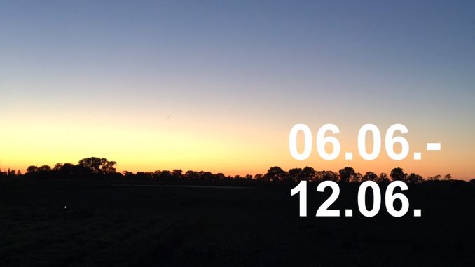 Veranstaltungskalender