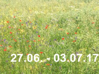 Veranstaltungskalender