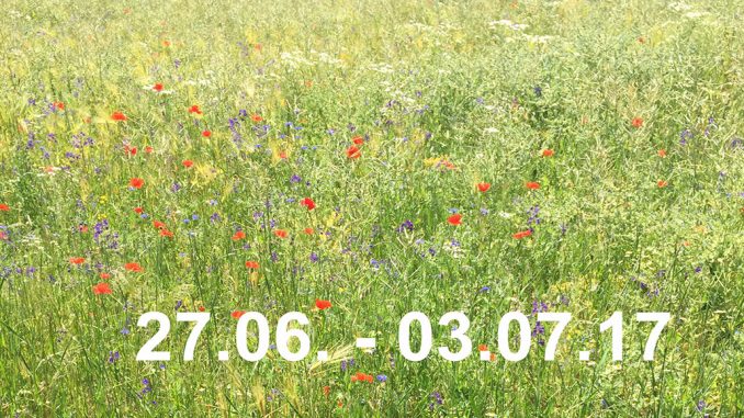 Veranstaltungskalender