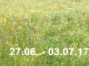 Veranstaltungskalender