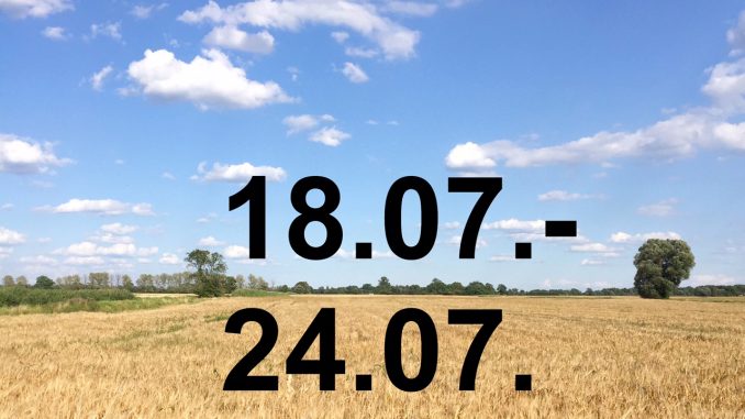 Veranstaltungskalender