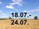 Veranstaltungskalender