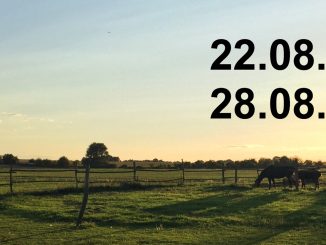 Veranstaltungskalender