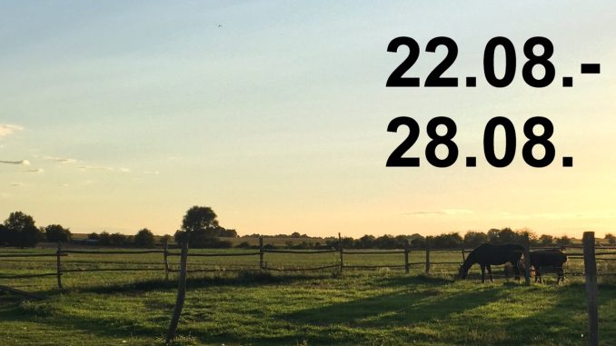 Veranstaltungskalender