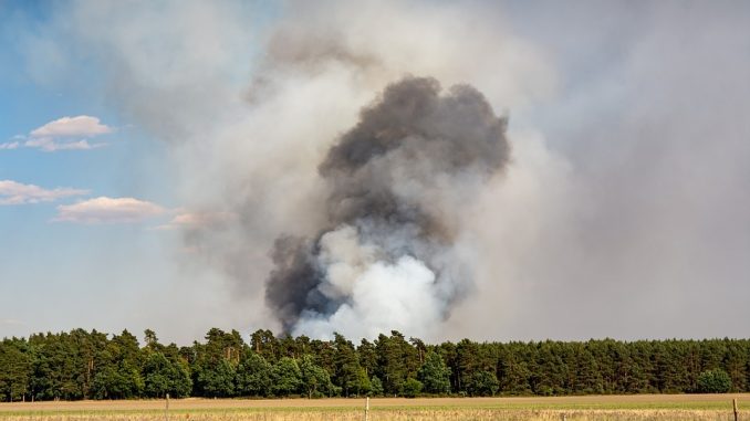 Waldbrand