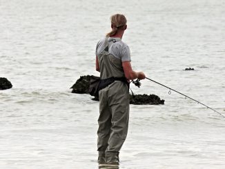 Angler