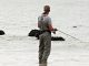 Angler