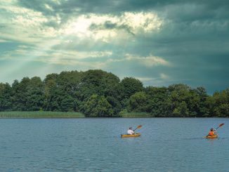 Wasserwandern im Oderbruch