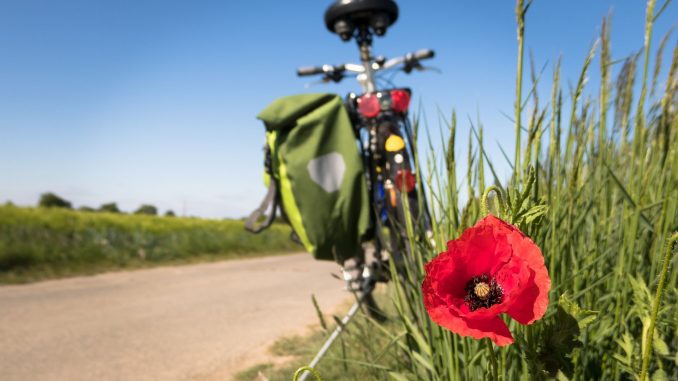 Fahrradwege Märkische-Oderland