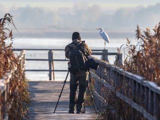 Fotowettbewerb Oder Spree